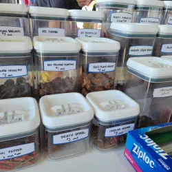 Columbia Farmers Market - Columbia