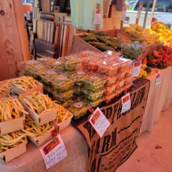Columbia Farmers Market - Columbia
