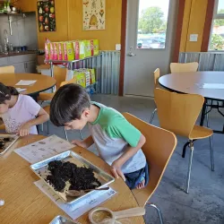 Columbia Farmers Market - Columbia