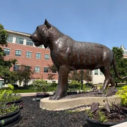 Mizzou Botanic Garden - Columbia