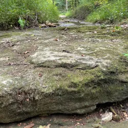Rock Bridge Memorial State Park - Columbia
