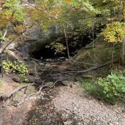 Rock Bridge Memorial State Park - Columbia