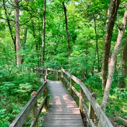 Rock Bridge Memorial State Park - Columbia