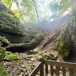 Rock Bridge Memorial State Park - Columbia