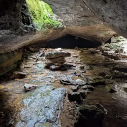 Rock Bridge Memorial State Park - Columbia