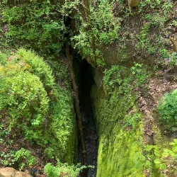 Rock Bridge Memorial State Park - Columbia
