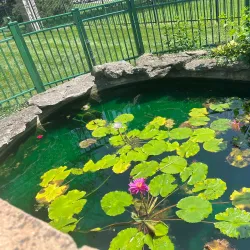 Shelter Gardens - Columbia