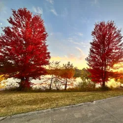 Stephens Lake Park - Columbia