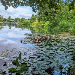 Stephens Lake Park - Columbia