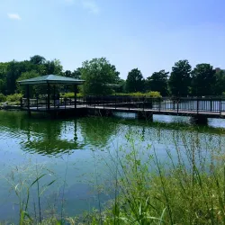 Stephens Lake Park - Columbia