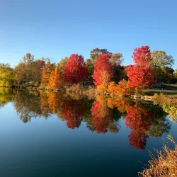 Stephens Lake Park - Columbia