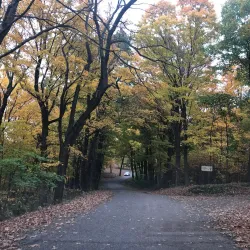 Hannibal Riverfront and Riverview Park - Hannibal