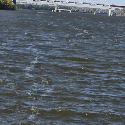 Mississippi Riverboat Cruises - Hannibal