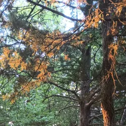 Paul and Ruth Henning Conservation Area - Hannibal