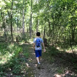 Paul and Ruth Henning Conservation Area - Hannibal