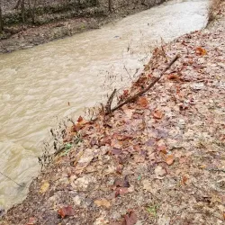 Fenton City Park - High Ridge