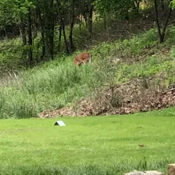 High Ridge Golf Course - High Ridge