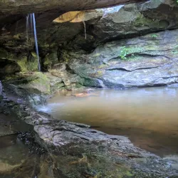 LaBarque Creek Conservation Area - High Ridge