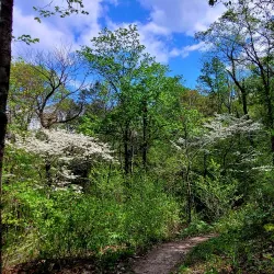 LaBarque Creek Conservation Area - High Ridge