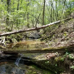 LaBarque Creek Conservation Area - High Ridge