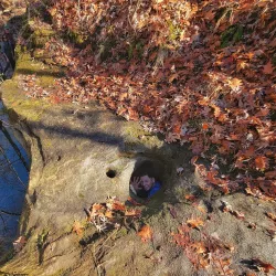 LaBarque Creek Trail - High Ridge