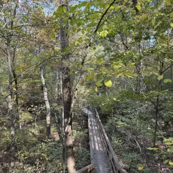 LaBarque Creek Trail - High Ridge