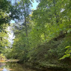 LaBarque Creek Trail - High Ridge
