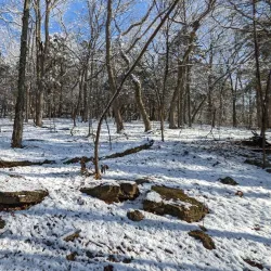 LaBarque Creek Trail - High Ridge