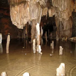 Meramec State Park - High Ridge