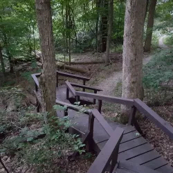 Rockwoods Reservation - High Ridge