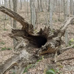 Rockwoods Reservation - High Ridge