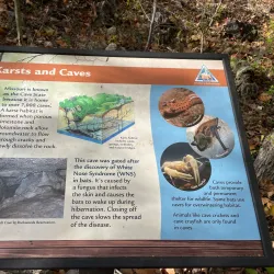 Rockwoods Reservation - High Ridge