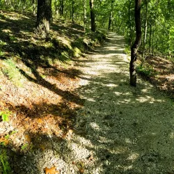 Rockwoods Reservation - High Ridge