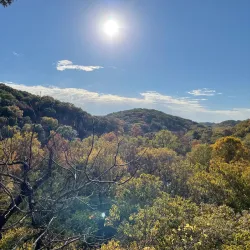 Rockwoods Reservation - High Ridge