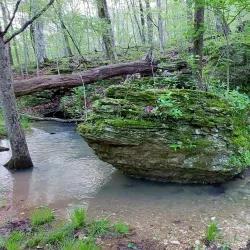 Rockwoods Reservation - High Ridge