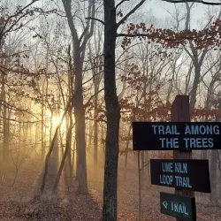 Rockwoods Reservation - High Ridge