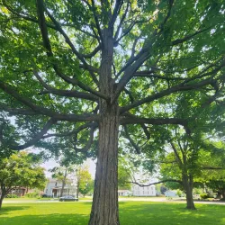 Houston City Park - Houston