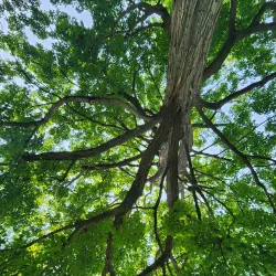 Houston City Park - Houston