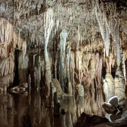 Mark Twain National Forest - Houston