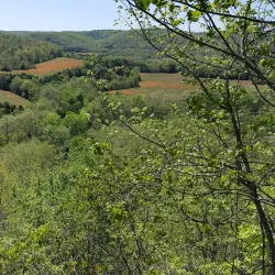 Ozark National Scenic Riverways - Houston