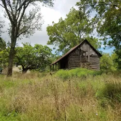 Piney Creek Conservation Area - Houston