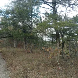 Piney Creek Conservation Area - Houston