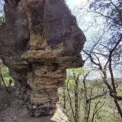 Piney Creek Conservation Area - Houston