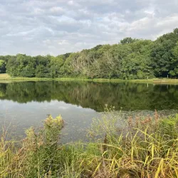 George Owens Nature Park - Independence