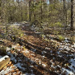 George Owens Nature Park - Independence