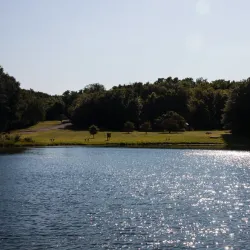 George Owens Nature Park - Independence