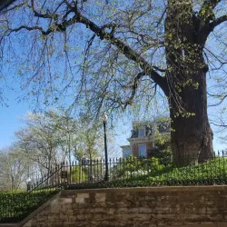 Governor's Mansion - Jefferson City