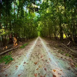 Katy Trail State Park - Jefferson City