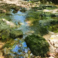 Runge Nature Center - Jefferson City