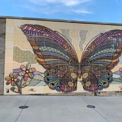 Cunningham Park - Joplin